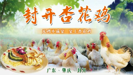 抖音百科怎么创建？2024年抖音百科创建攻略